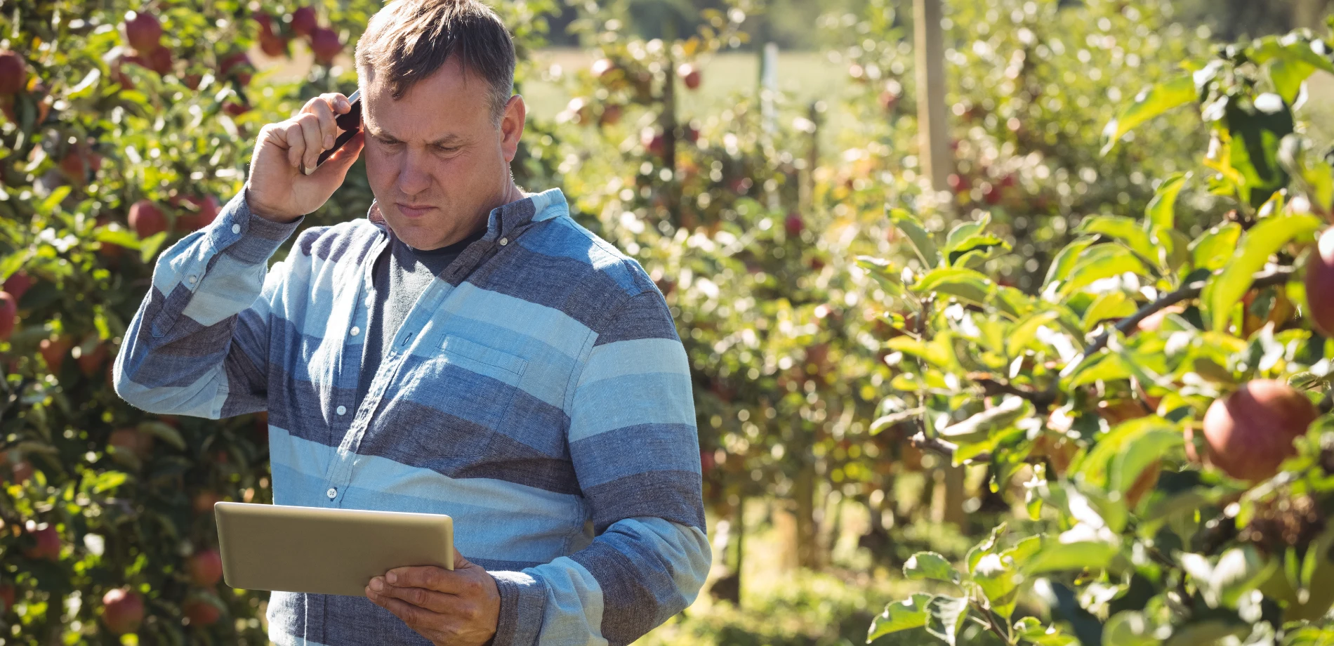 e-Müstahsil Makbuzunda Bulunması Zorunlu Bilgiler Nelerdir?