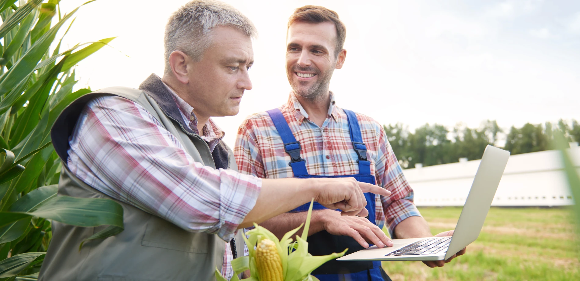 e-Müstahsil Makbuzu Nedir? 2025 e-MM Kimlere Zorunlu? Geçiş Şartları Nelerdir?